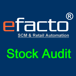 eFacto Stock Audit